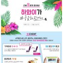 행운이용소 | [진에어] 와 함께 떠난 하와이/ 하와이 진에어 후기