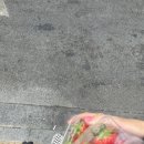 딸기치과의원 이미지