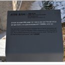 변경복 효자비 티스토리