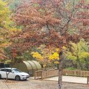 평창 감성 캠핑의 끝판왕, 산마을풍경 다녀왔어요.