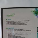 애드올헤나미용실
