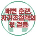 [배변훈련, 자기조절력의 첫걸음] 한국아동청소년심리상담센터 이미지