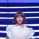 러블리독 이미지