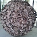 대포초등학교 이미지