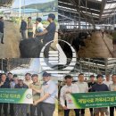 카우목장 이미지