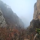 인제02-2 이미지