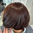 도산노인복지관 | 한남동미용실 하츠한남 대만족한 김나현실장님 염색 후기