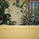 대평상회 이미지