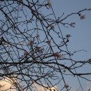 만지농장 이미지