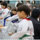 거룡태권도2관 | 제주시유아체육 거룡태권도 이관에서 꿈을 키우다