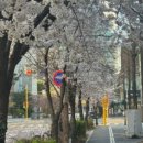 송도탑이비인후과의원 이미지