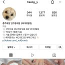 와이네일링 이미지