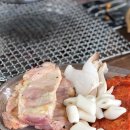 다릿목닭갈비 | 춘천 스카이워크 다릿목닭갈비 숯불닭갈비