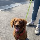 밧개플레이스2 이미지