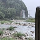 체육공원(근남면) 이미지