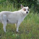 동부꽃농원 이미지