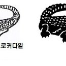 라코스테 - 유성구 대덕대로 480 | 라코스테