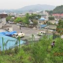 영월읍사무소 이미지