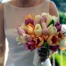 알림 : 원윤희딸 결혼 축하해 주세요 이미지