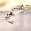 입술 침바르기. 냅킨 깔기 .건강에*독* 되는 5가지 습관# 이미지