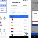 시티패스