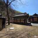 비래사