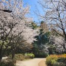 지리산쌍계한의원 이미지