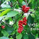 오미 농산물 이미지