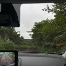 나영목장 이미지