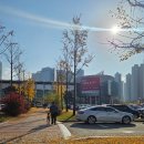2024 하반기 메가주 일산, 고양이 집사 후기와 꿀팁 :)