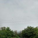 능산2리 이미지