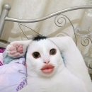 강*근 - 미추홀구 미추로 31-1 | 강*근