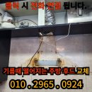 관주네일#