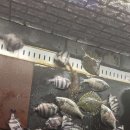 인천 락 실내바다낚시터 이미지