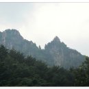 동석축산 이미지