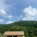 댕댕타임 | 양평 애견동반 독채펜션 댕댕별숲 B동 후기