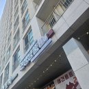 견생냥품 무인24시 서울 상계역점 | 🐶 문정동 단골 애견용품점 '견생냥품'! 하림 하루양갱 / 안국건강 멍필름 ✨