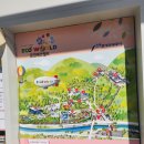 칠성슈퍼 | 🌿 문경 에코월드 여행 후기: 아이들과 가기 좋은 문경 가볼만한곳