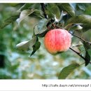 어느가을 오후 이미지