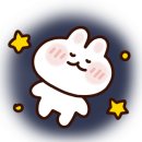스테이 서하 이미지