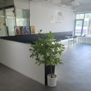 화이트짐 반송 남광장점 이미지