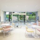 꼼꼼 애견미용실 이미지