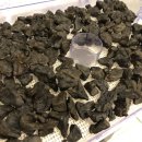 수지소생한의원 이미지