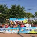 유채꽃길 이미지