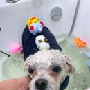 살롱드하츠 이미지