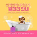 반짝반짝내작은개 네이버블로그