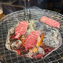 미야비 | 오사카 도톤보리 야키니쿠 미야비 내돈내산 후기