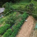 상안농장 이미지