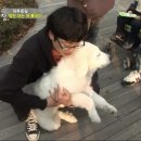 종일농장 이미지