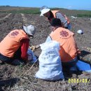 용정농장 이미지